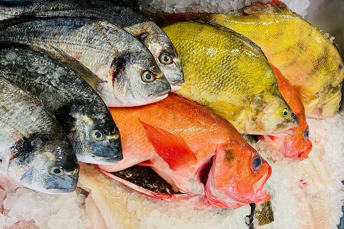 fische