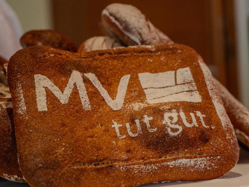 MV tut gut